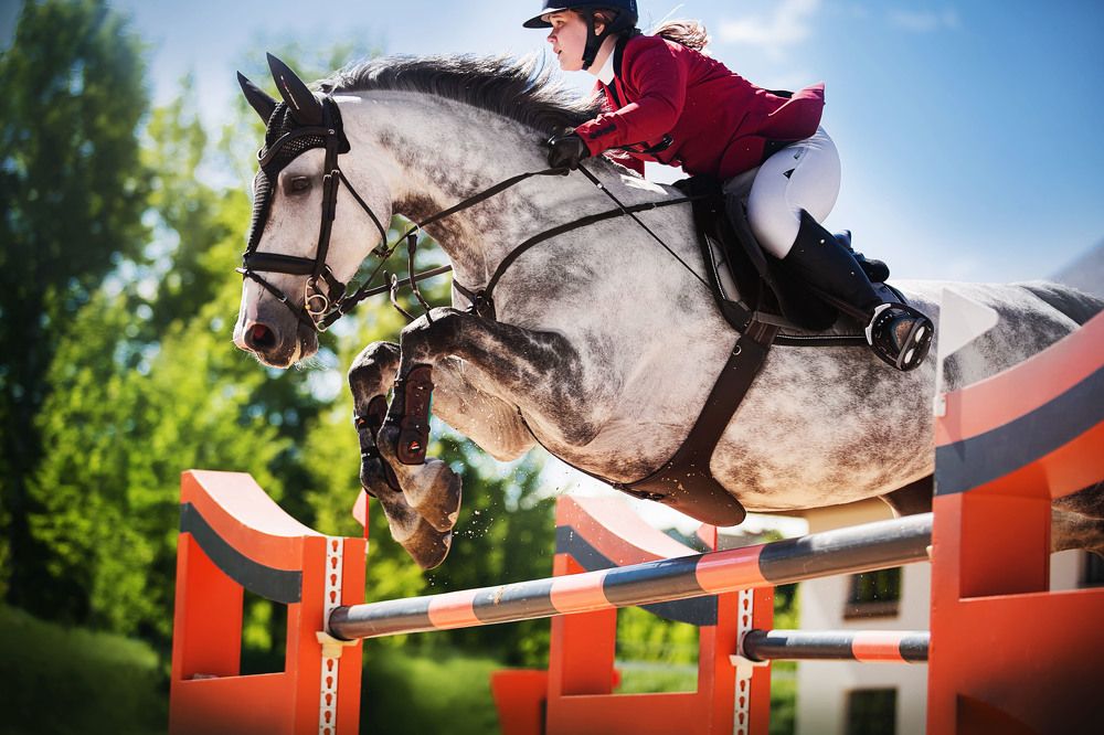 Photograph by Валерия Ватель