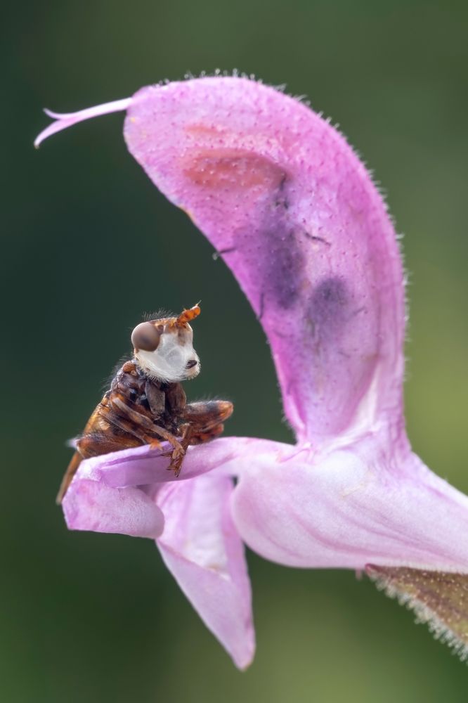 Photograph by Михаил Домешек