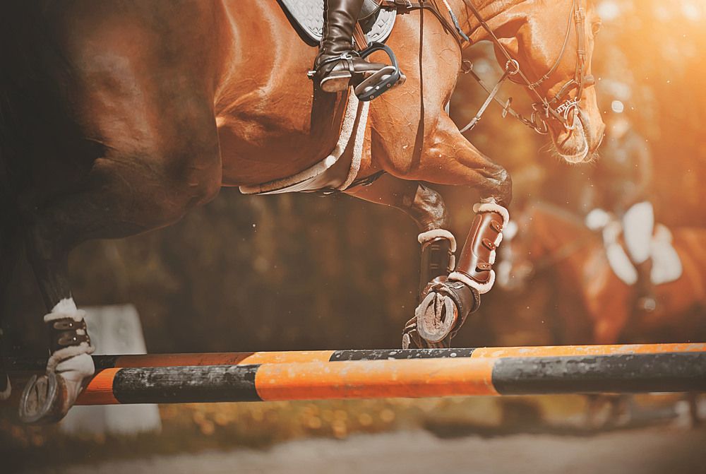 Photograph by Валерия Ватель