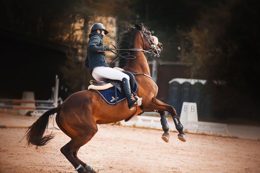 Photograph by Валерия Ватель