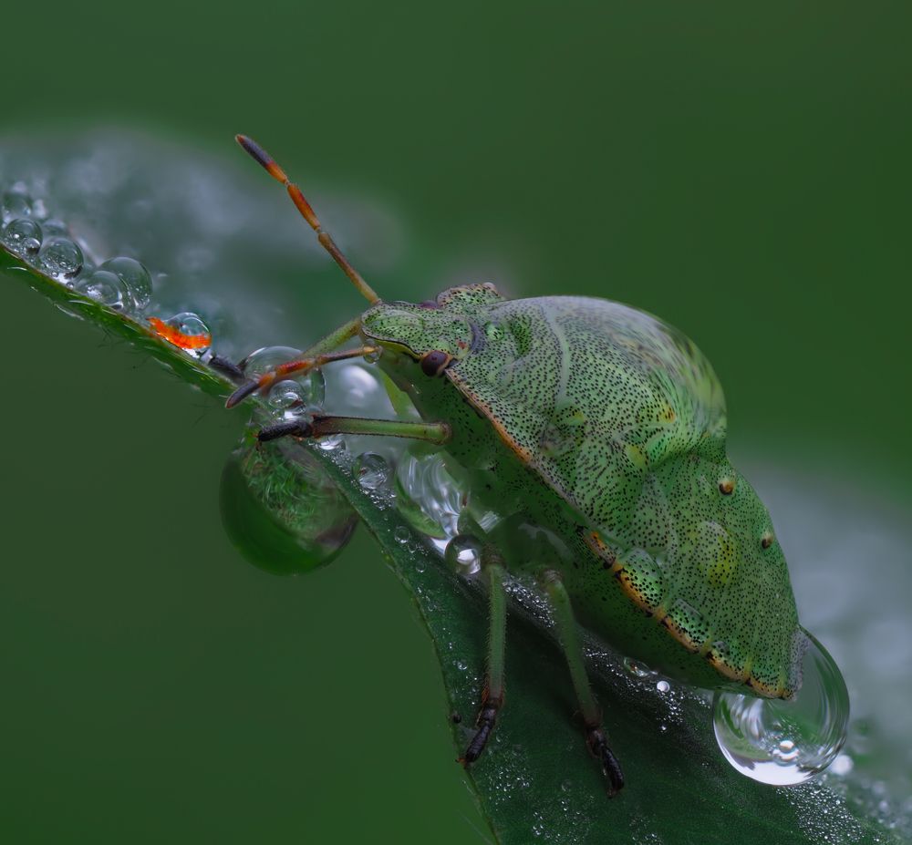 Photograph by Евгений Лукашук