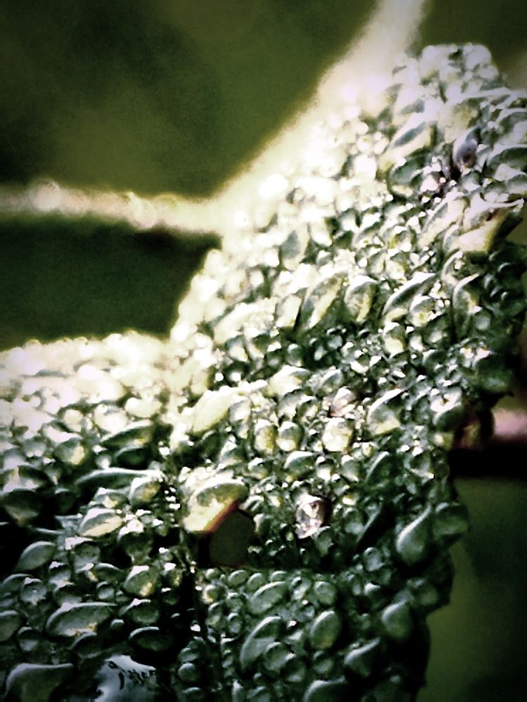 Photograph by Яна Протасевич