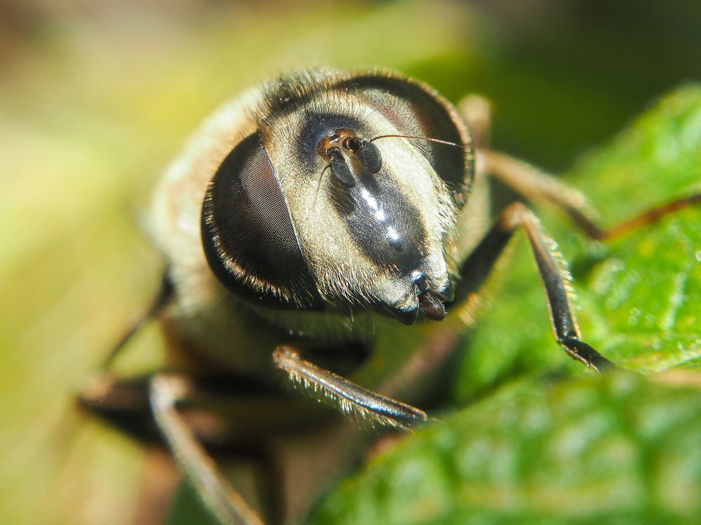 Photograph by Евгения Чепурная