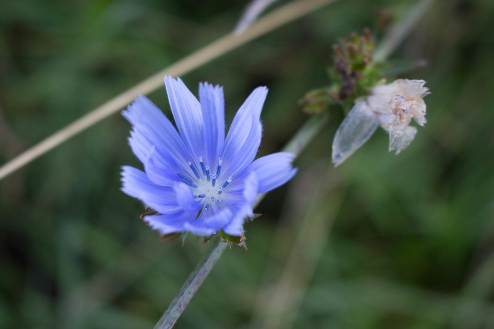 Photograph by Полина Белокопытова