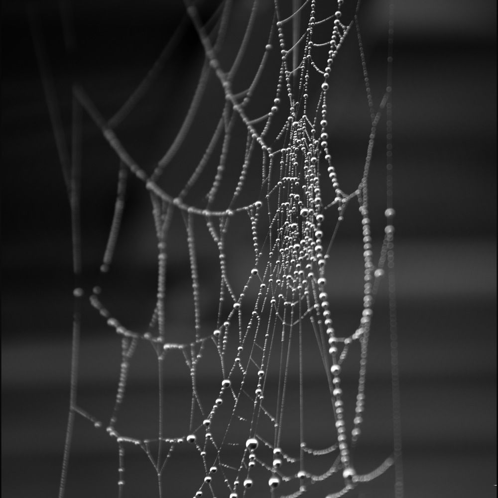 Photograph by Fereshte Abdolahimehr