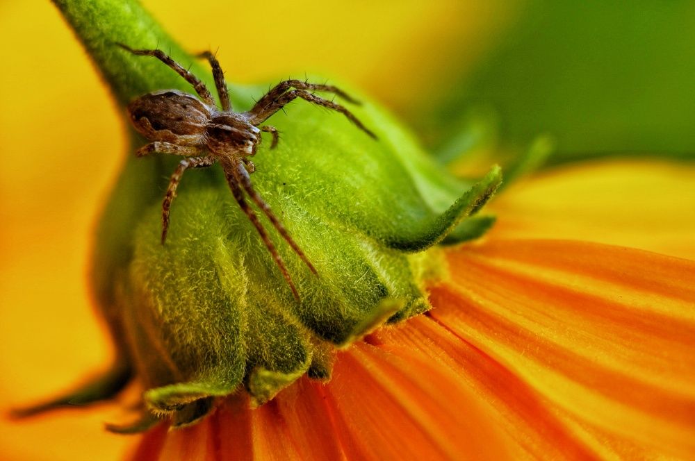 Photograph by Ольга Ларизадех