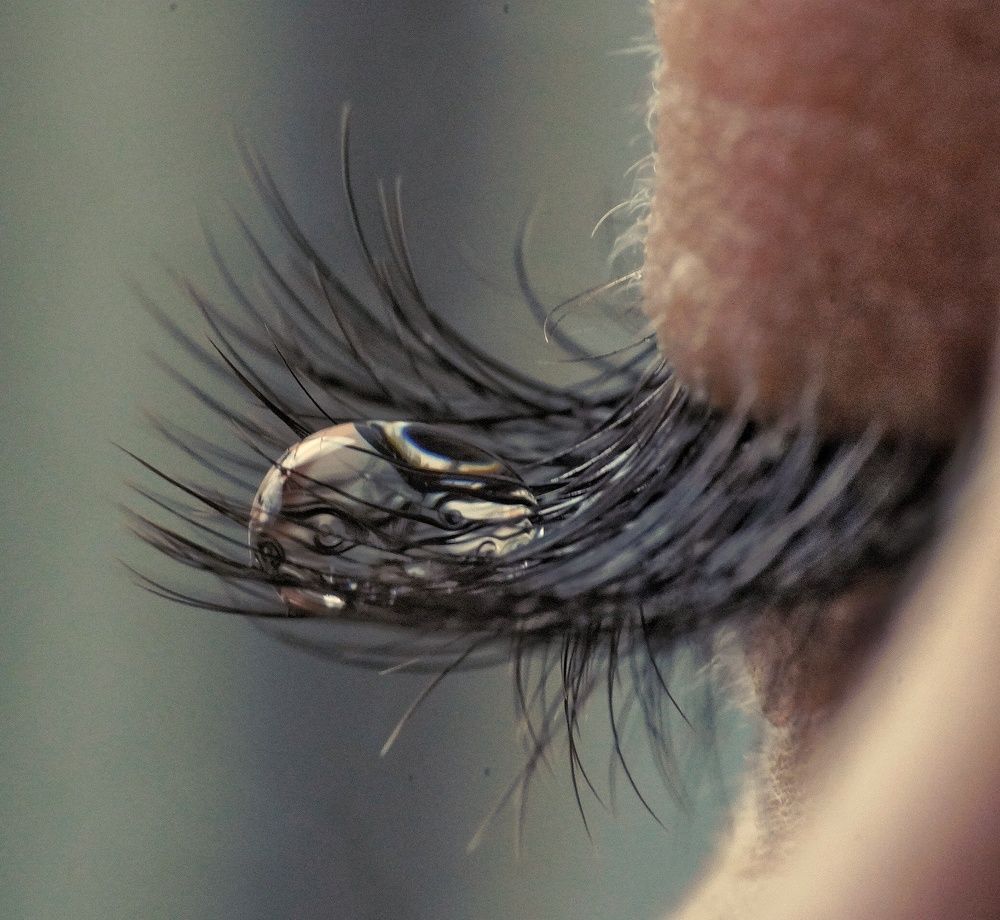 Photograph by Ольга Ларизадех