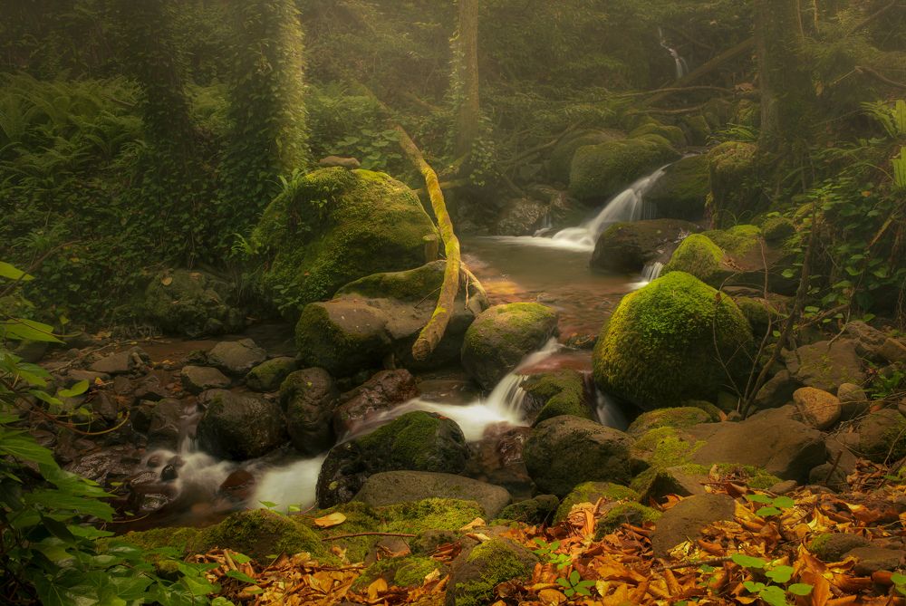 Photograph by Helen Vasilieva