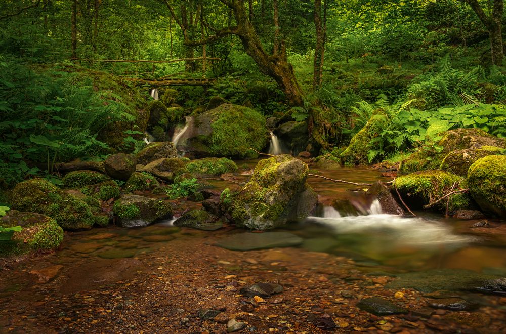 Photograph by Helen Vasilieva