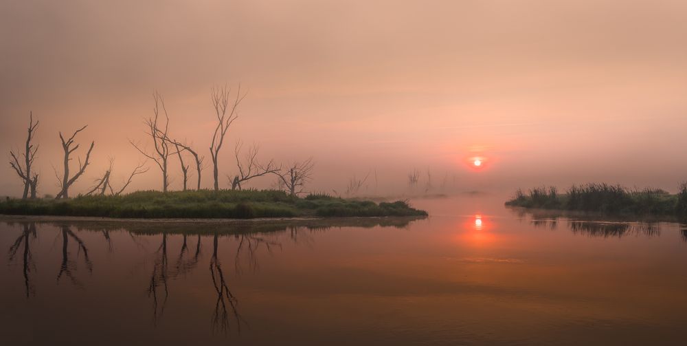 Photograph by Dariusz Budyta