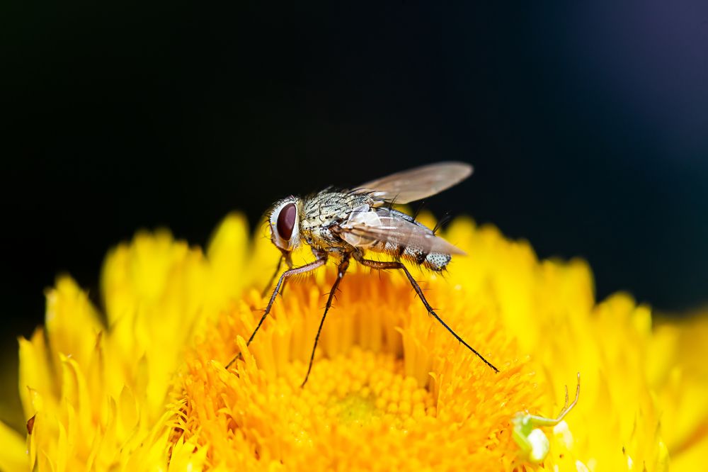 Photograph by Галина Шарапова