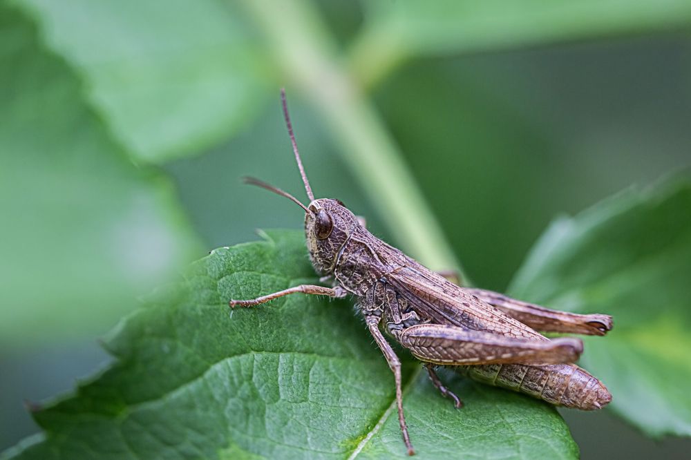 Photograph by Галина Шарапова