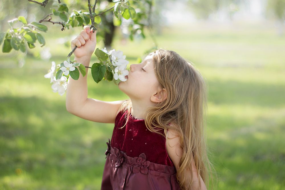 Photograph by Рудометова Юлия