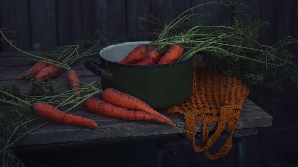 Синий вечер сентября