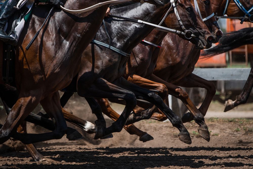 Photograph by Кристина Ксендзова