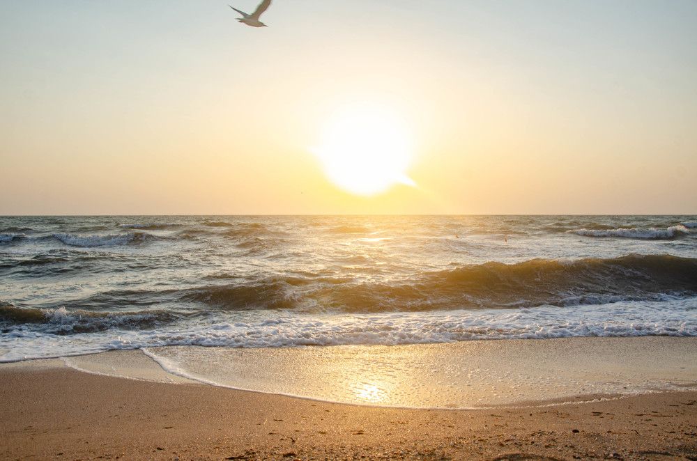 Photograph by Yuri Bohatyrov