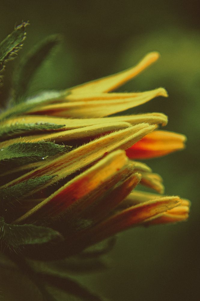 Photograph by Наталья Попова