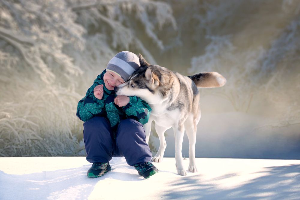 Верный друг