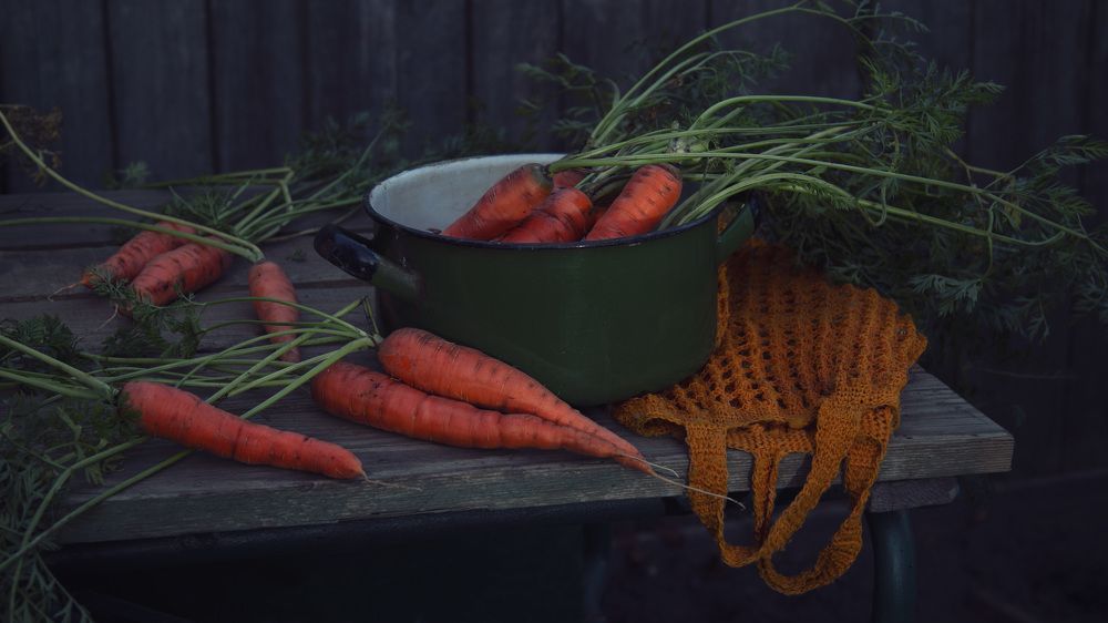 Синий вечер сентября