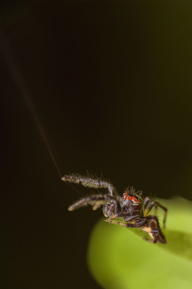 Photograph by Karthik AK