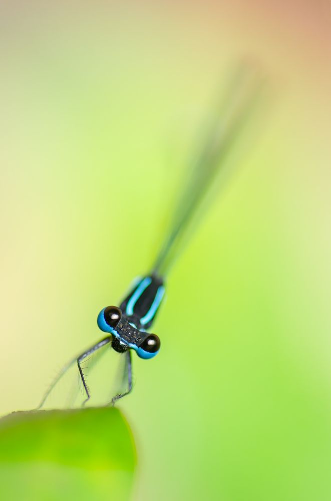 Photograph by Karthik AK