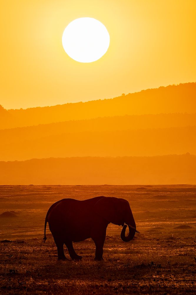 Photograph by Sriram Radhakrishnan