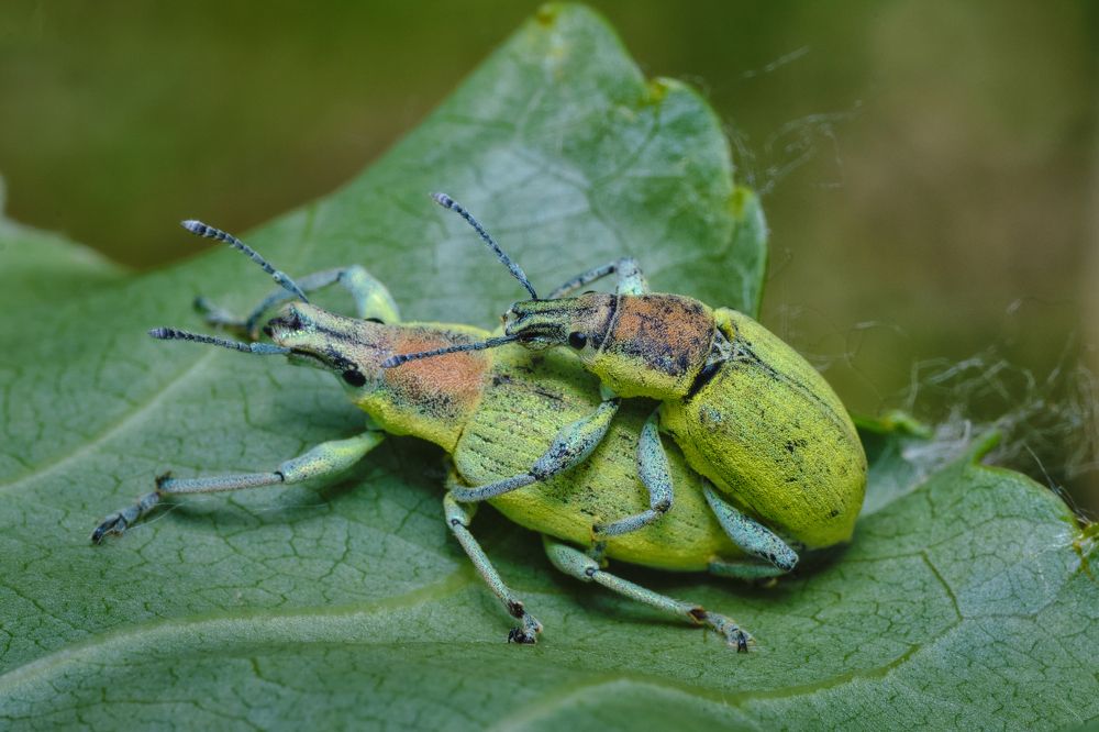 Photograph by Сергей Алтуфьев