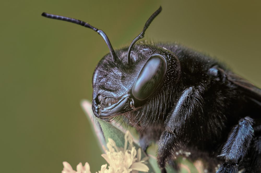 Photograph by Сергей Алтуфьев