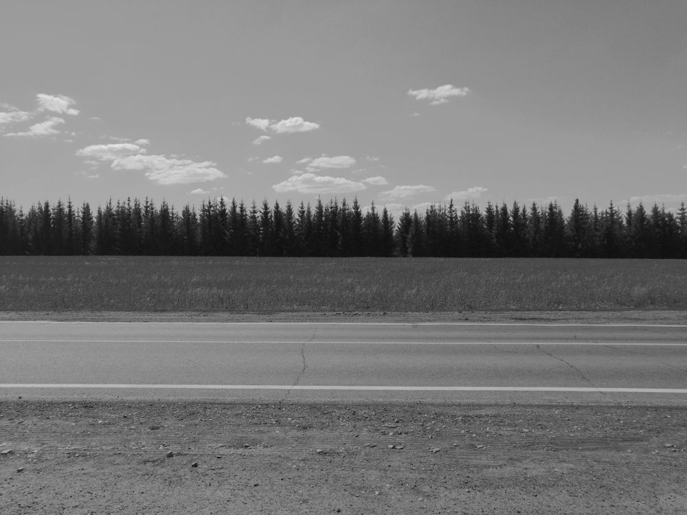 Photograph by Лиля Богатова