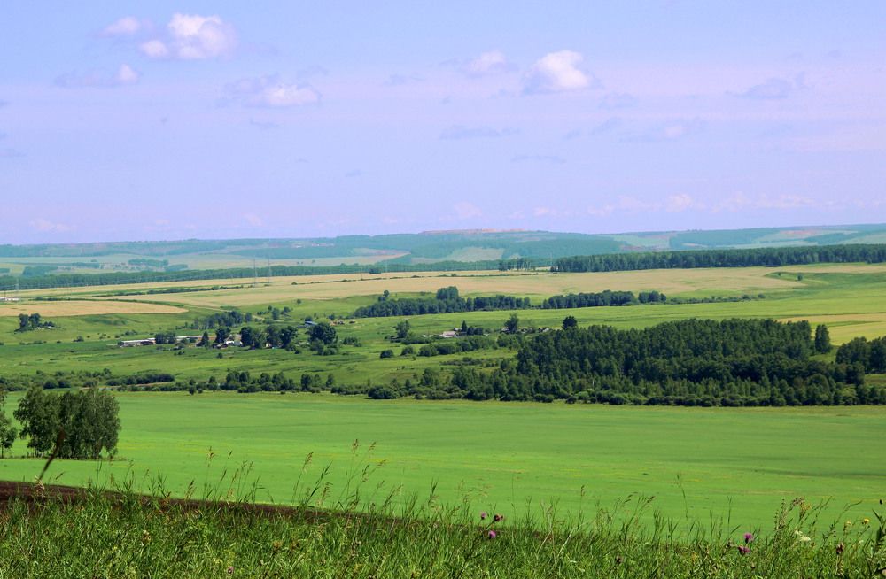 Photograph by Pavel Palkin