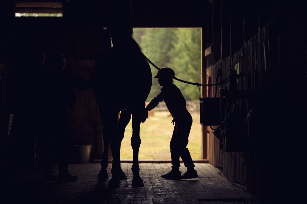 Photograph by Илья Вага