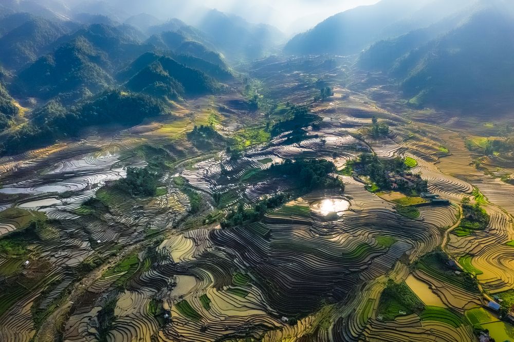 Water poured on rice fields