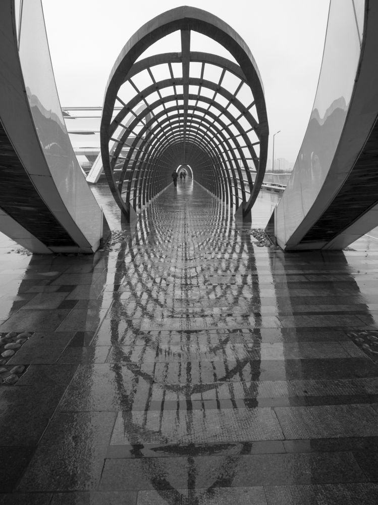 Photograph by Abdolreza Aleagha