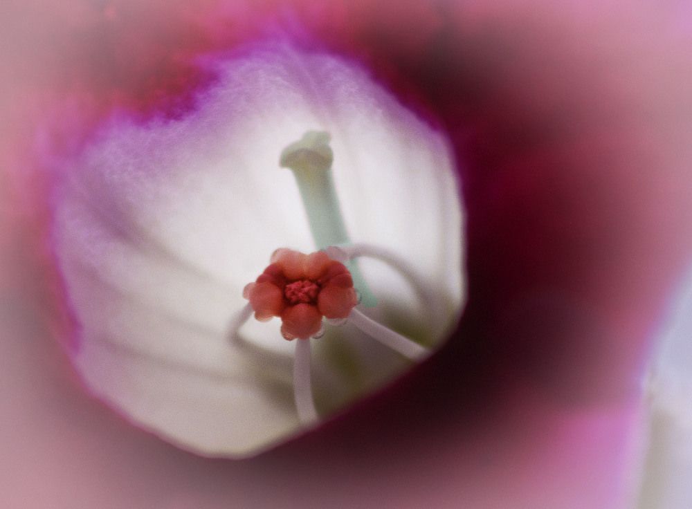 Photograph by Анатолий Васильев