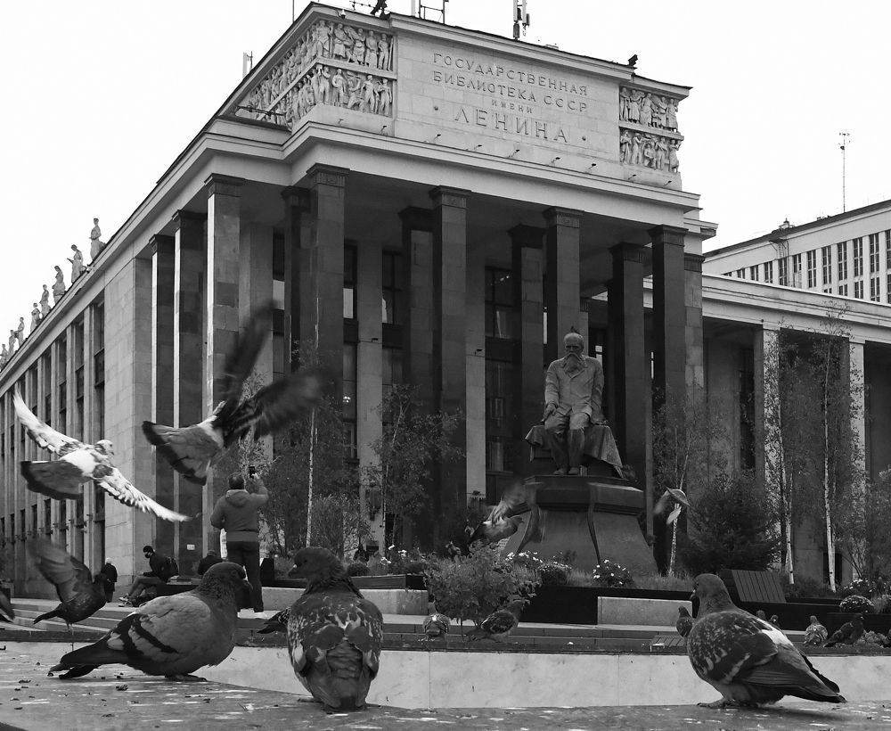 Библиотека