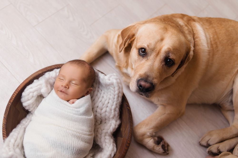 Photograph by Екатерина Примак