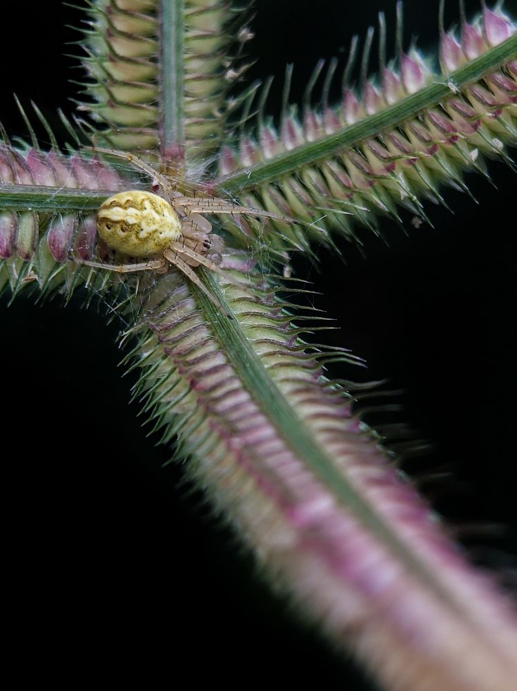 Photograph by Faiyal Ahmed