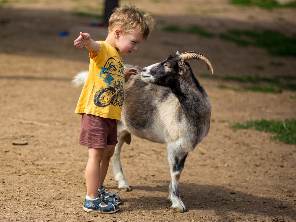 Photograph by Ахметзянова Лилия