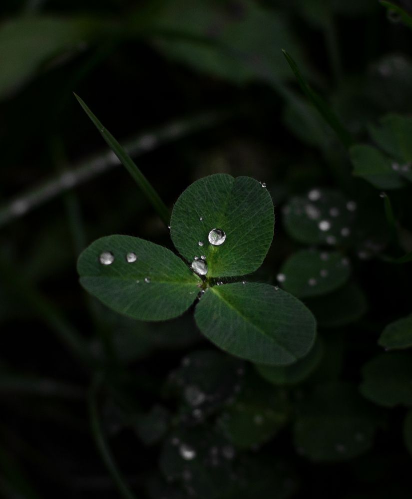 Photograph by Ганна Кліпіна