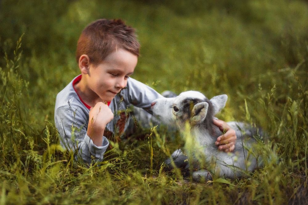 Фотография автора Vyacheslav Lozhkin