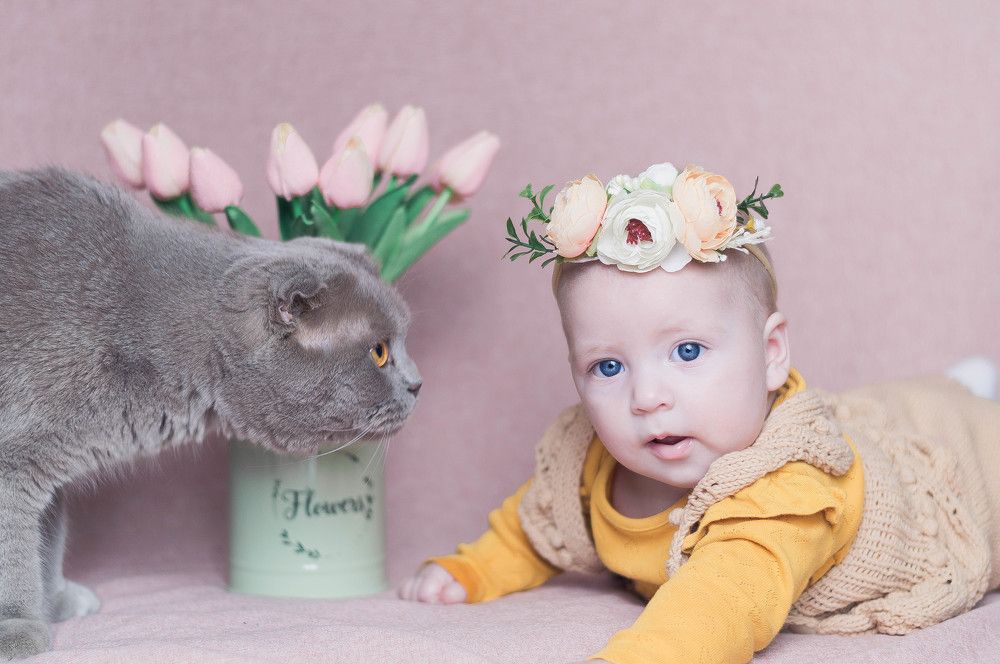 Фотография автора Юлия Волчкова