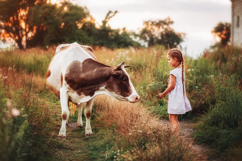 Photograph by Ольга Додонова