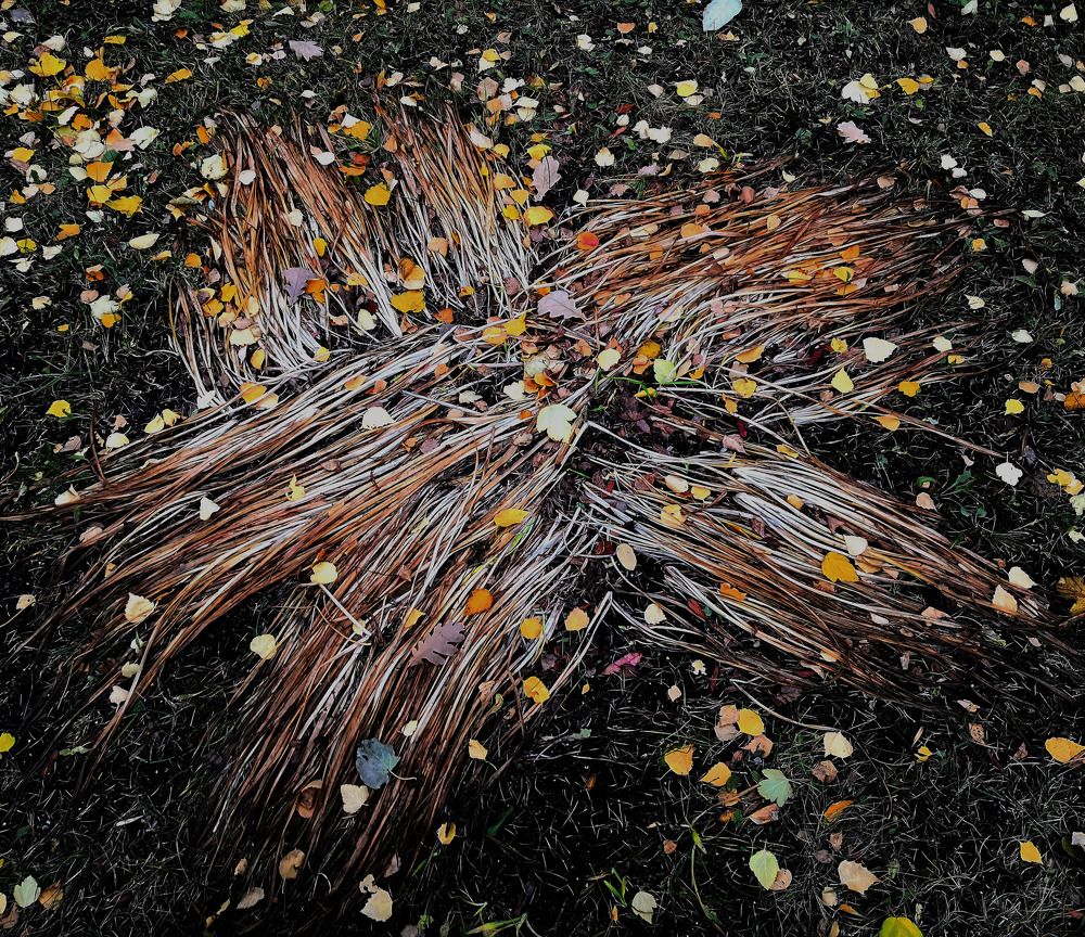 Фотография автора Андрей Данильсон