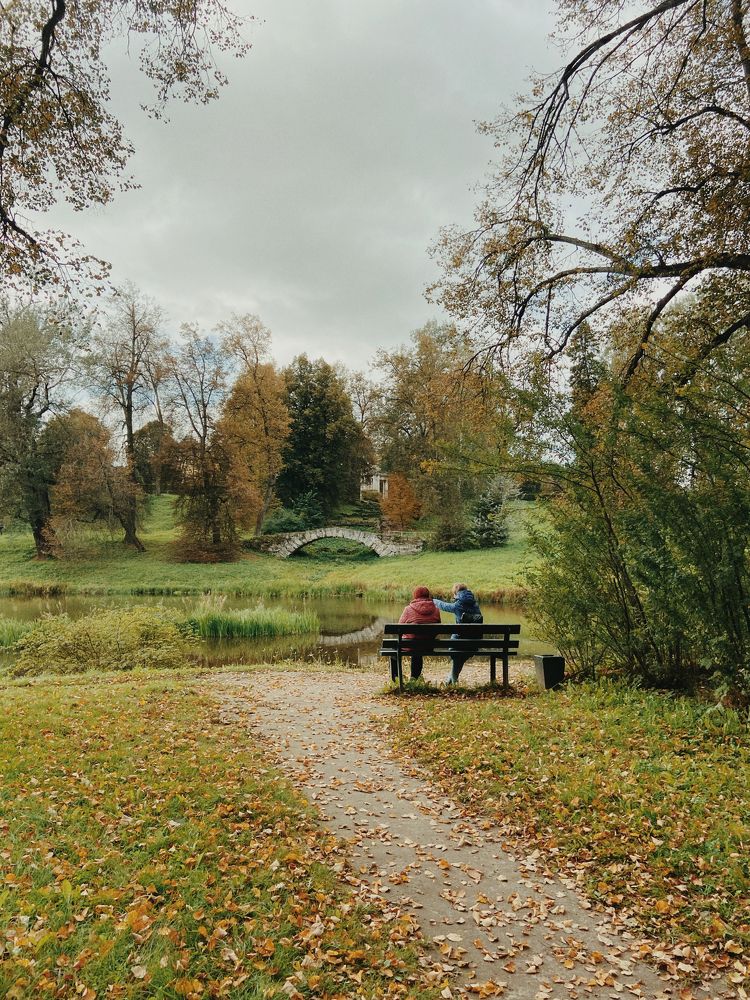 сидят, голубушки