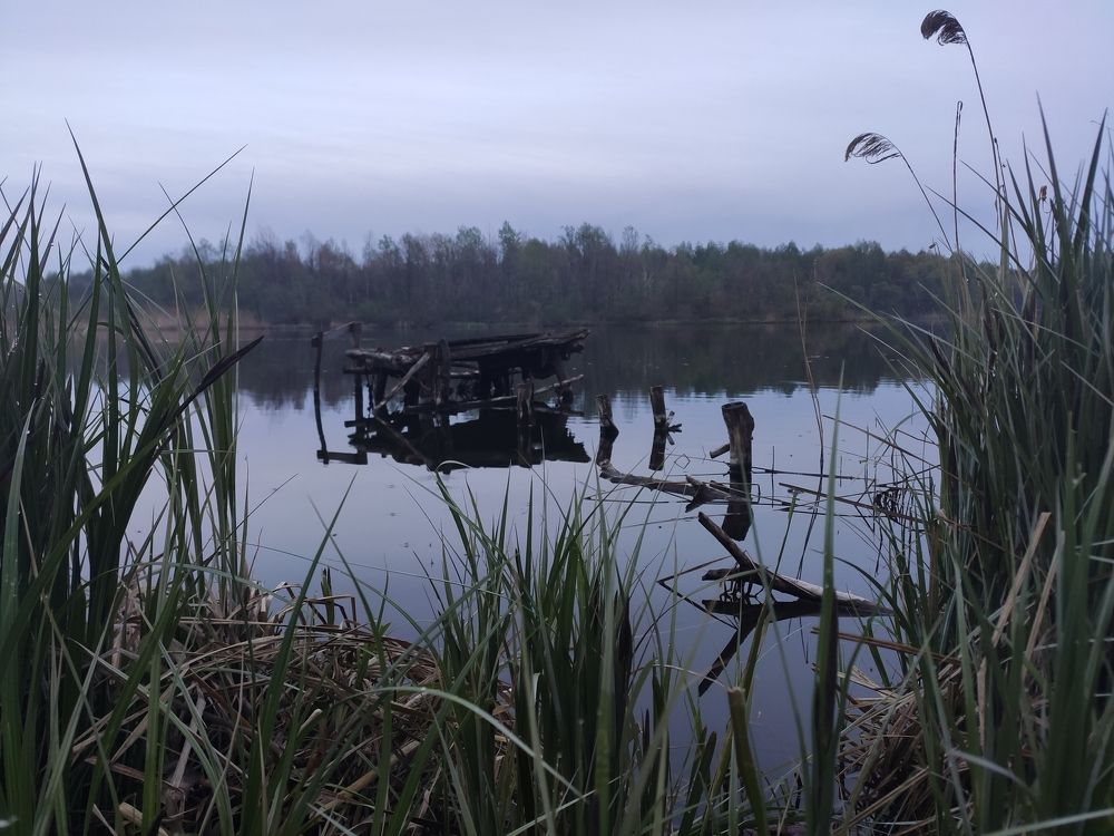 Вечером на реке...