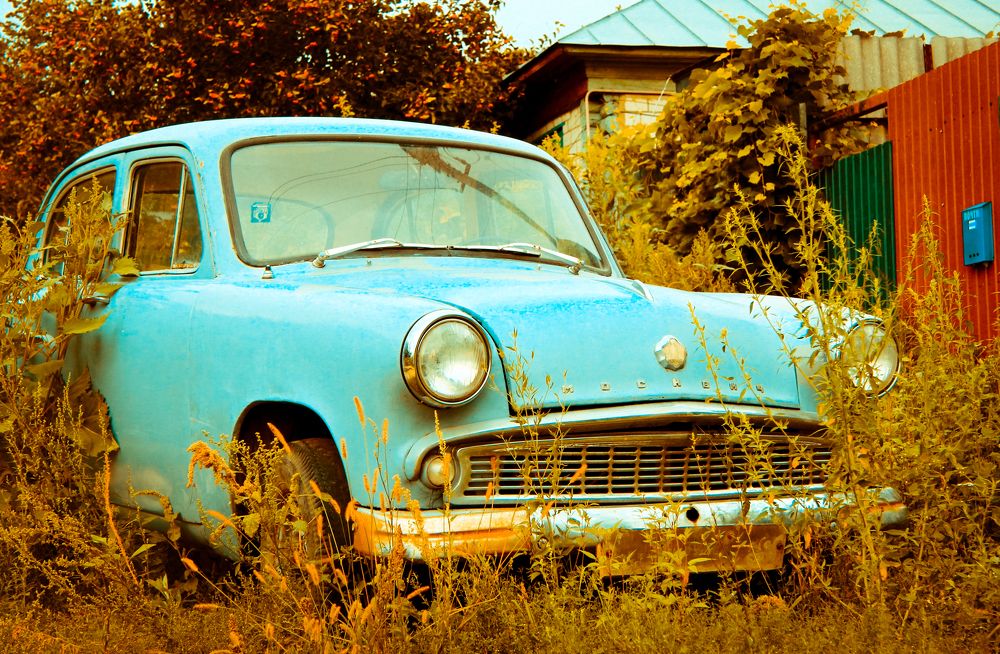 Photograph by Александр Малютин