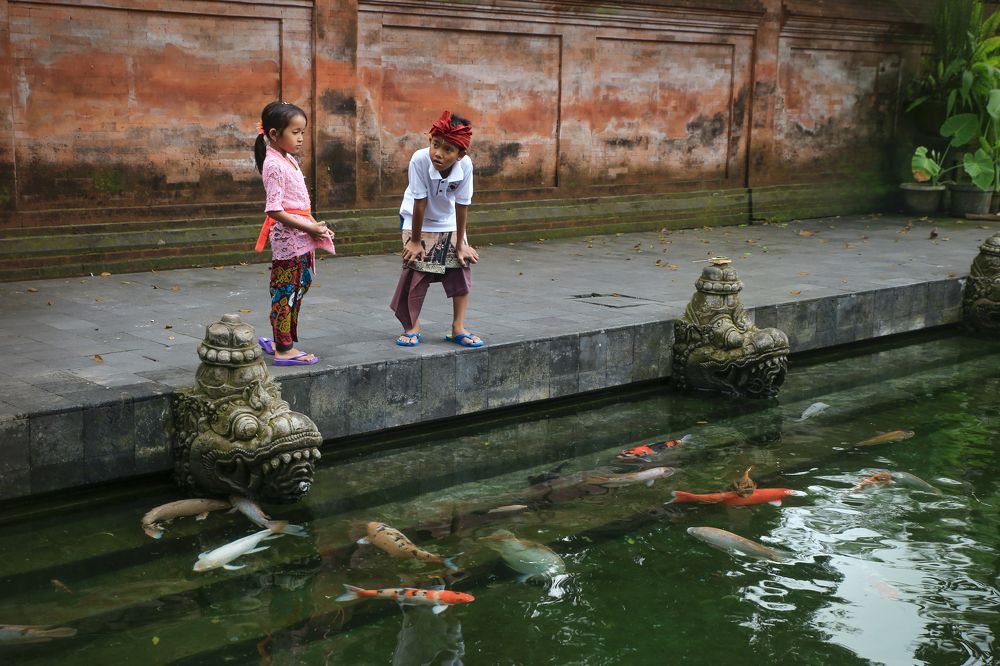 Photograph by Mohamed Abdelkader