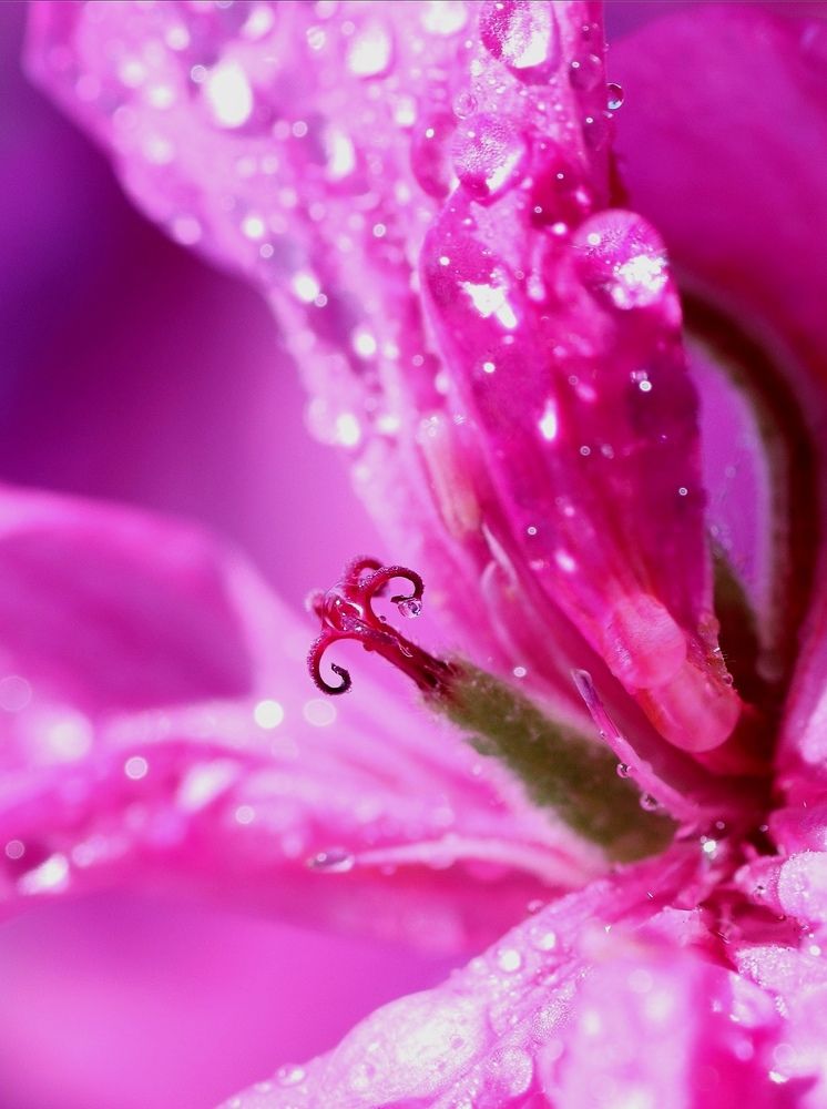 Photograph by Olga Asson