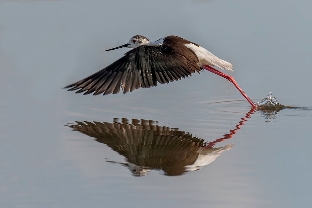 Photograph by Messina Alfonso