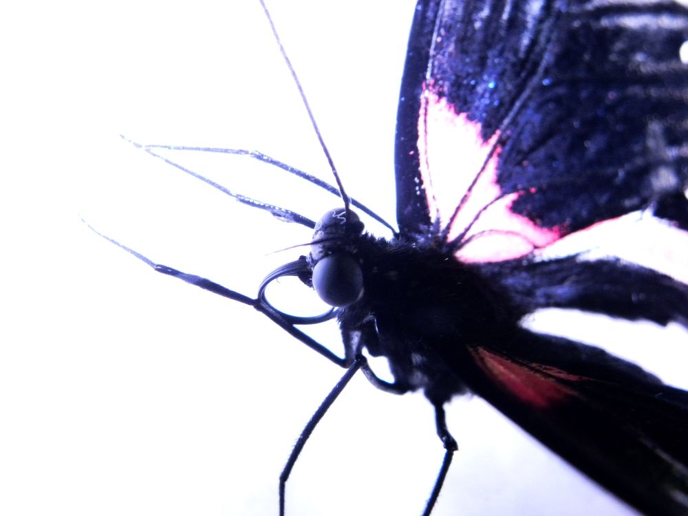 Photograph by Александр Малютин